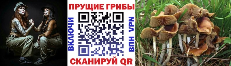 нарко площадка официальный сайт  Собинка  Галлюциногенные грибы ЛСД  гидра ССЫЛКА 