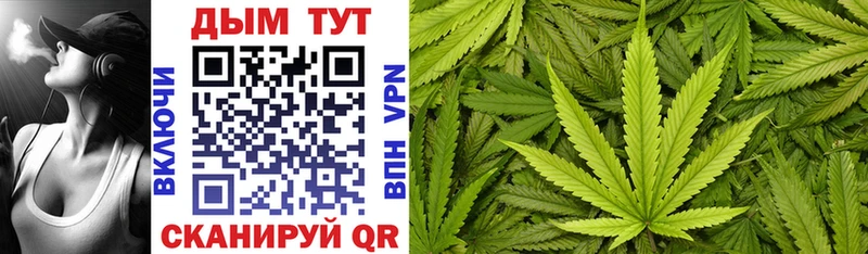 купить Собинка Канабис SATIVA & INDICA