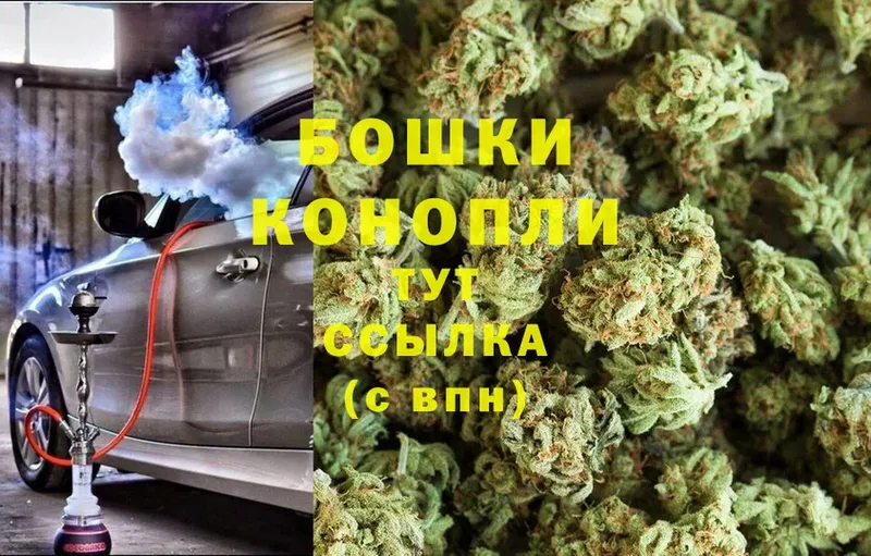 Бошки марихуана THC 21%  закладка  Собинка 